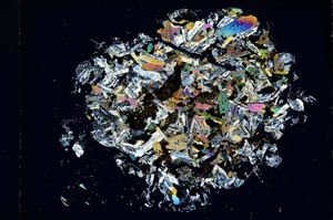 Cross Polarized, S4351/A