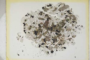 Plane Polarized, S4351/A