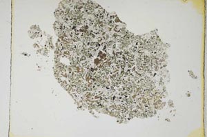 Plane Polarized, S4352