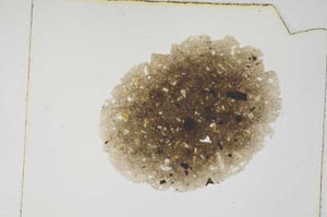 Plane Polarized, S4354