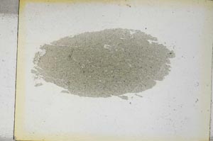 Plane Polarized, S4363