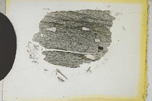 Plane Polarized, S4366