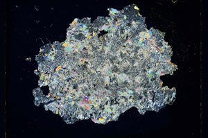 Cross Polarized, S4368