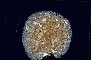 Cross Polarized, S4371