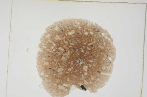 Plane Polarized, S4371