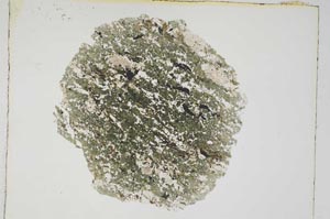 Plane Polarized, S4375