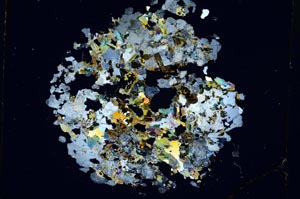 Cross Polarized, S4387