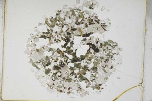 Plane Polarized, S4387