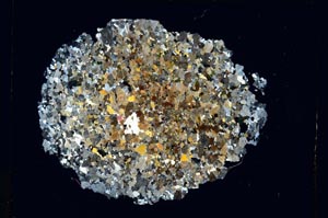 Cross Polarized, S4433