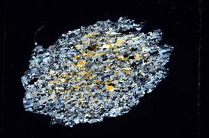 Cross Polarized, S4435