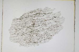 Plane Polarized, S4435