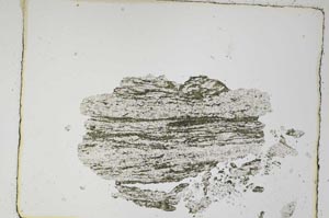 Plane Polarized, S4452
