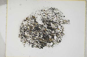 Plane Polarized, S4476