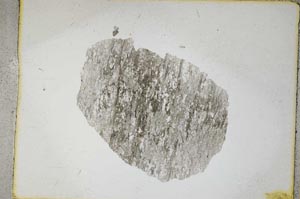 Plane Polarized, S4480