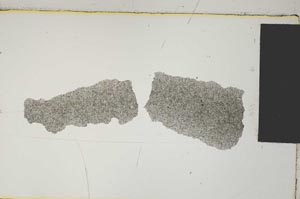 Plane Polarized, S4490