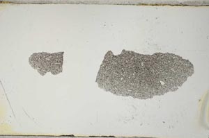 Plane Polarized, S4498