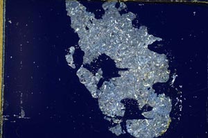 Cross Polarized, S4505/b