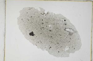 Plane Polarized, S4518