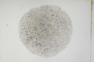 Plane Polarized, S4522