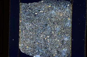 Cross Polarized, S4525