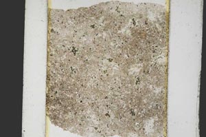 Plane Polarized, S4525