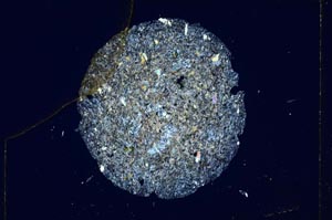 Cross Polarized, S4525/a