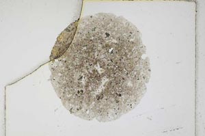 Plane Polarized, S4525/a