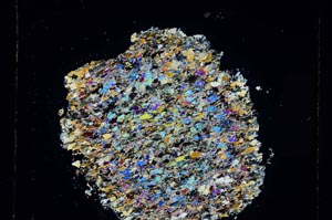 Cross Polarized, S4536