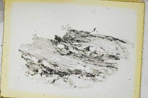 Plane Polarized, S4541