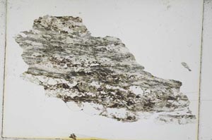 Plane Polarized, S4551