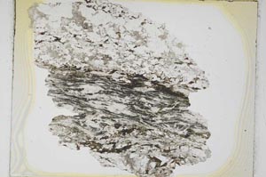 Plane Polarized, S4553