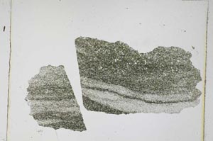 Plane Polarized, S4567
