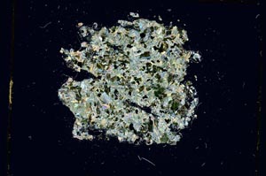 Cross Polarized, S4604