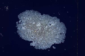 Cross Polarized, S4607