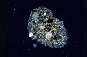 Cross Polarized, S4610