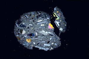 Cross Polarized, S4612