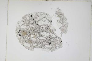 Plane Polarized, S4612