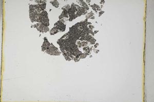 Plane Polarized, S4616