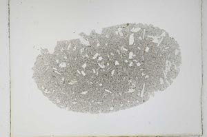 Plane Polarized, S4619