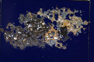 Cross Polarized, S4621