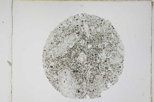 Plane Polarized, S4622
