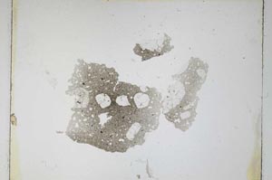 Plane Polarized, S4640