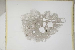 Plane Polarized, S4641