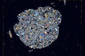 Cross Polarized, S4653