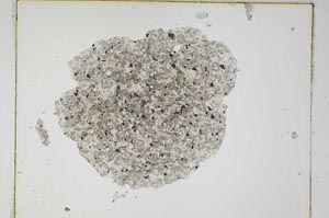 Plane Polarized, S4653