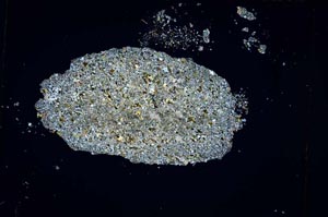 Cross Polarized, S4656