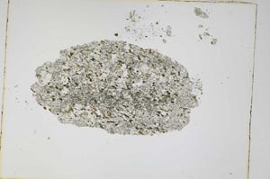 Plane Polarized, S4656