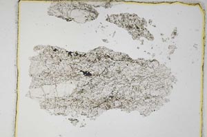 Plane Polarized, S4667