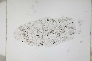 Plane Polarized, S4672
