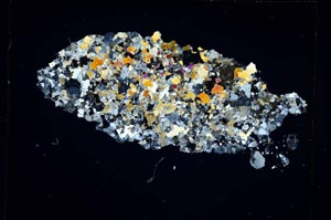 Cross Polarized, S4675